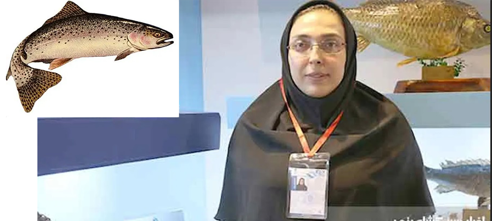  تحول جدید در صنعت شیلات؛ پرورش نسل ششم ماهی آزاد آغاز شد